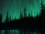Aurora Boreal Forest