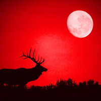 Elk Overseeing A Bloodmoon