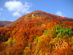 Rhodopes Mountain