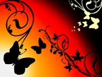 Butterflies