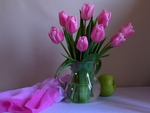 Pink Tulips