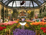 Bellagio conservatory