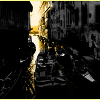Venice Sunlight