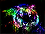 Gorgeous Colorful Fractal Tiger