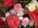 Christmas Flowers