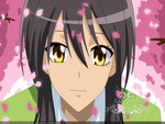 maid sama misaki