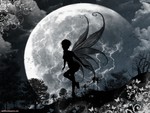 Fairy In Moonlight Fantasy