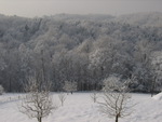 Winter Wonderland_2