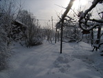 Winter Wonderland_4