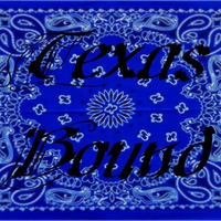 Texas Bound Bandana