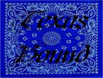 Texas Bound Bandana