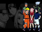 Team 7