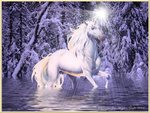 winter fantasy -1