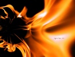 Ignite