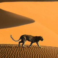 DesertPassageSossusvleiParkNamibiaAfrica