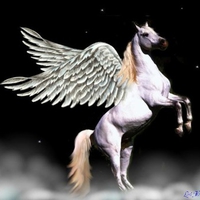 Pegasus