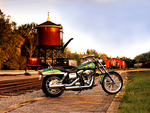 Green Hog