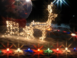 Rudolph in lights