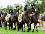 Friesian Horses in show
