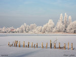 Winterlandscape