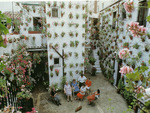 flower courtyard