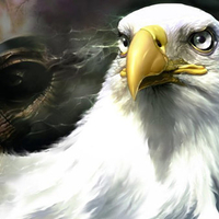 eagle for 5ayshooooom