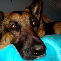 It's all in the face