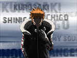 kurosaki ichigo