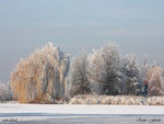 Winter Landscape