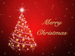 Marry Christmas To You All