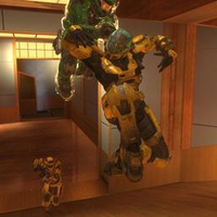 Crouching Tiger not so hidden ninja