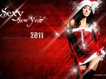 happy new year  2011