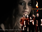 Flyleaf