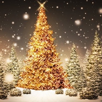 HAPPY HOLIDAYS TO ALL ON DN