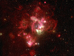 N44 in the Large Magellanic Cloud