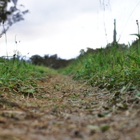 Dirt Path