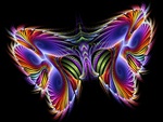 neon butterfly