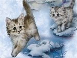 Winter cats