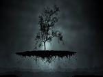 Floating Tree at Night