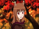 spice and wolf