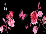 Roses and Butterflies