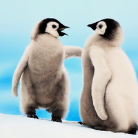 Little Penguins