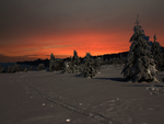 Winter Sunset