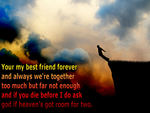 Friendship Quote