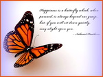 Happiness is a butterfly