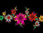 Fractal Flowers