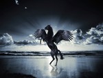 Pegasus