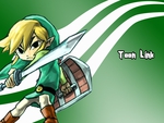 Toon Link