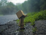 Danbo In The Rain