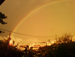 rainbow 1